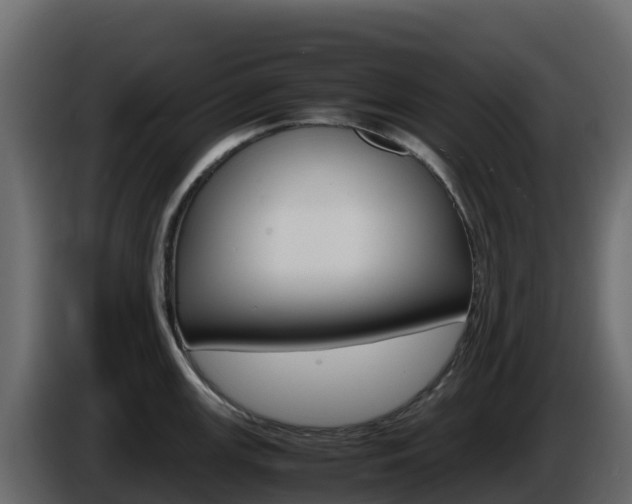 X0000086031147200703230949