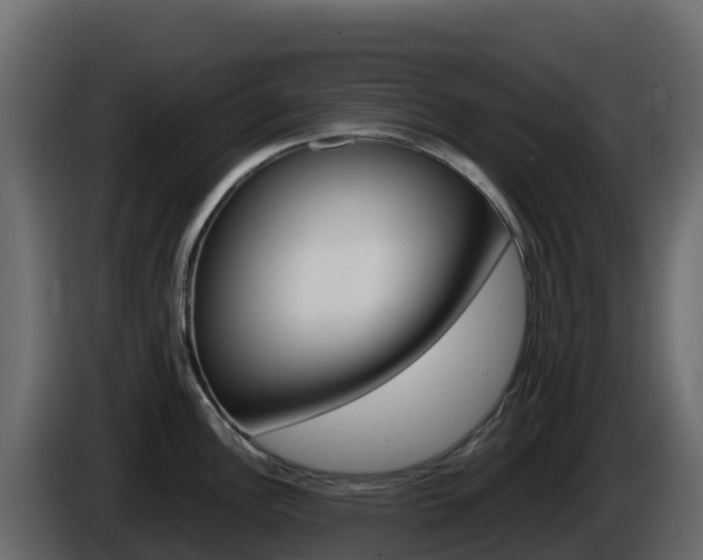 X0000086031148200703230949