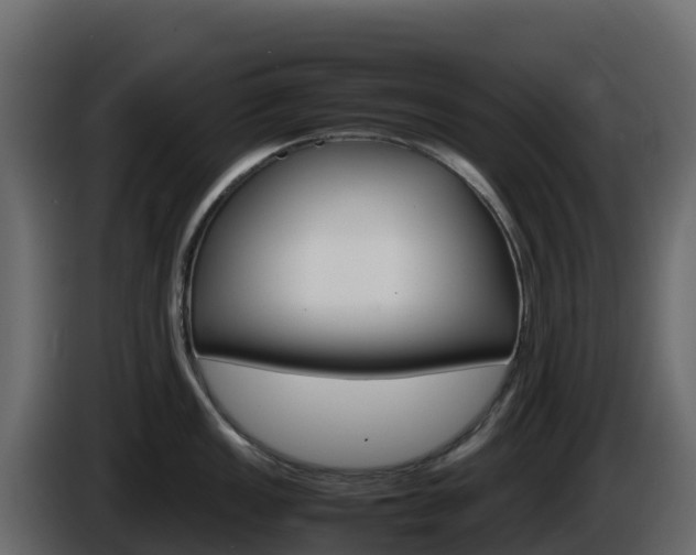 X0000086031149200703230949