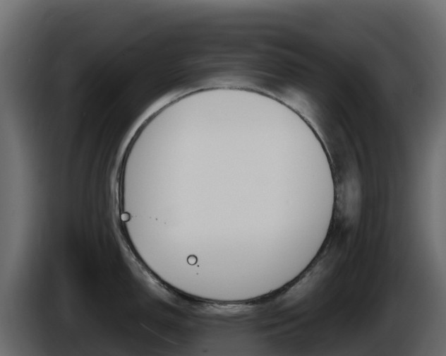 X0000086031150200703230949