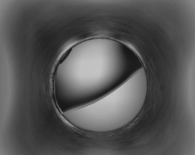 X0000086031151200703230949