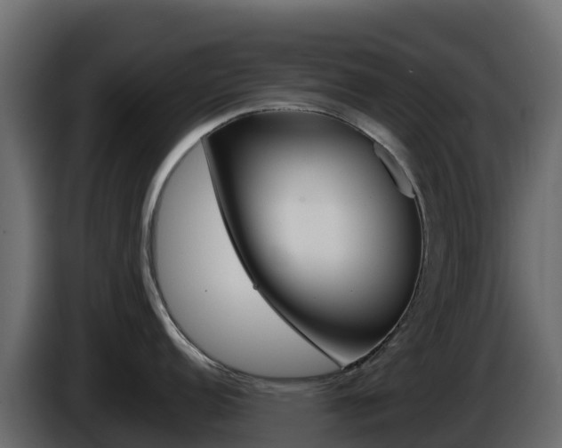 X0000086031152200703230949