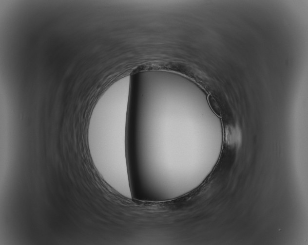 X0000086031155200703230948