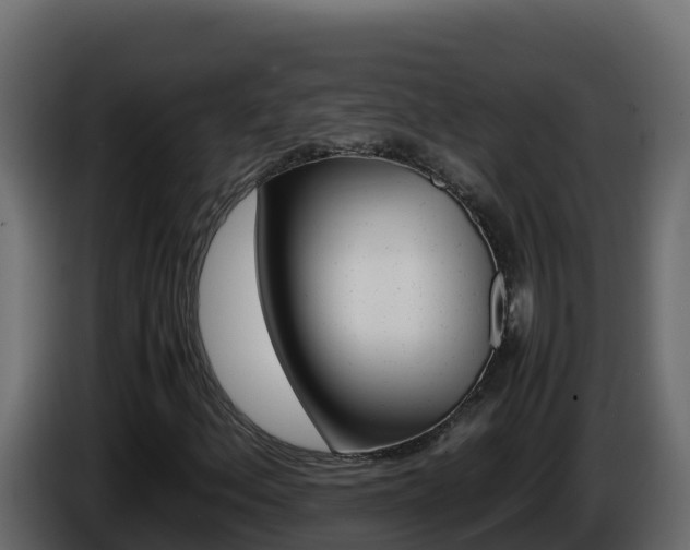 X0000086031156200703230948