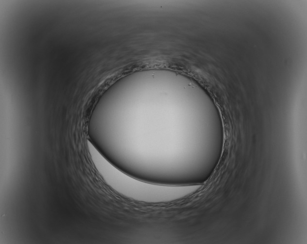 X0000086031157200703230948