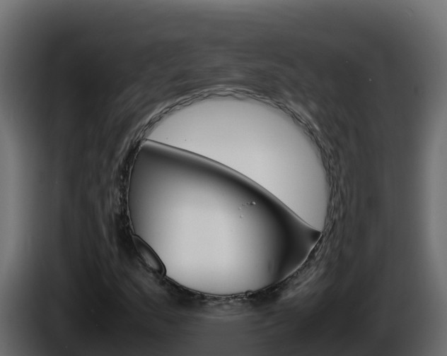 X0000086031159200703230948