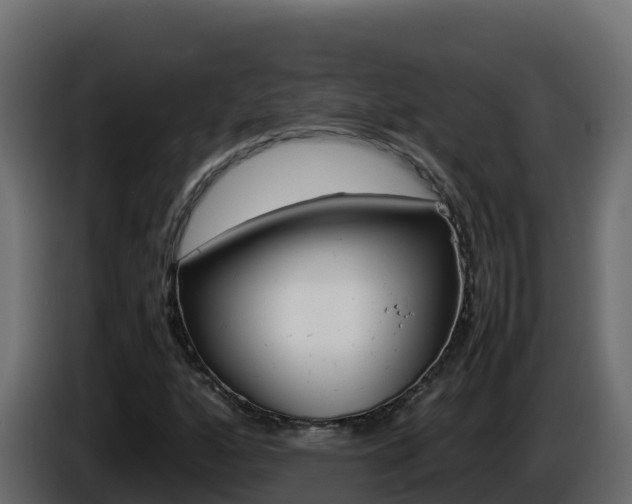 X0000086031160200703230948