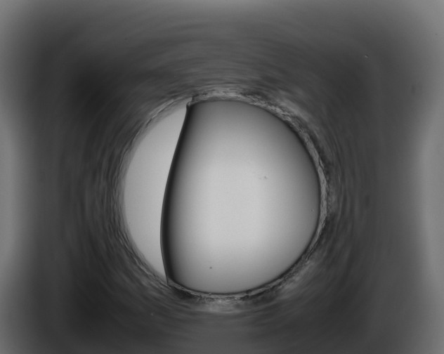 X0000086031161200703230948