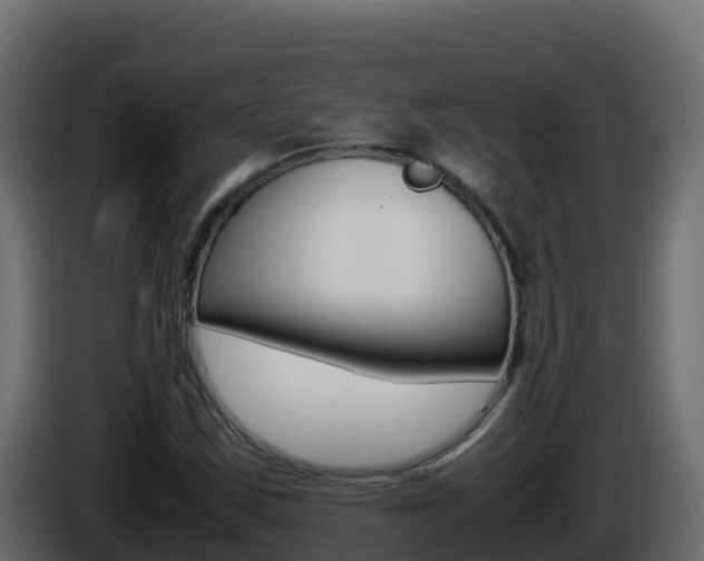 X0000086031163200703230948
