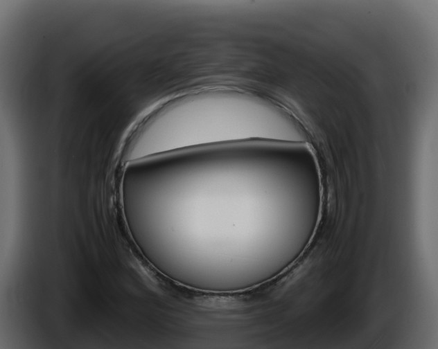 X0000086031164200703230948