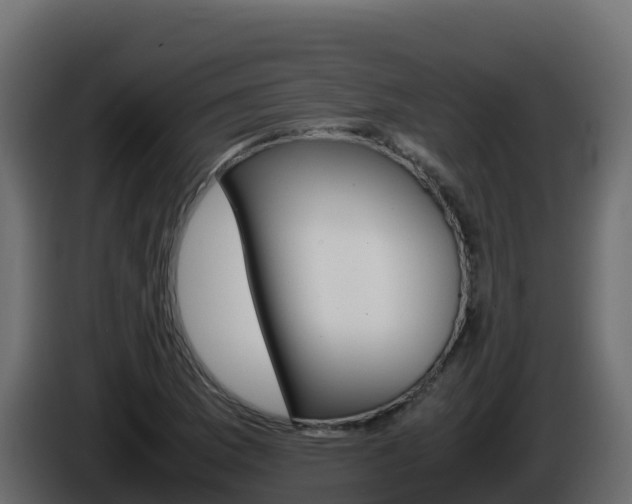 X0000086031169200703230948