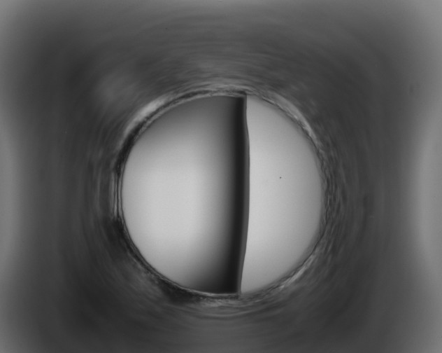 X0000086031171200703230948