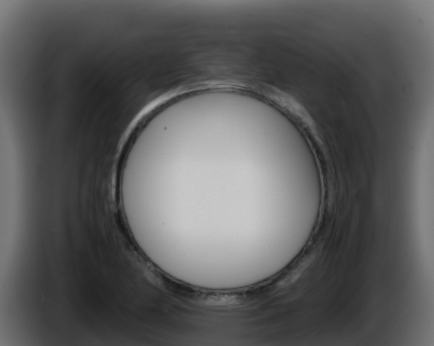 X0000086031174200703230948
