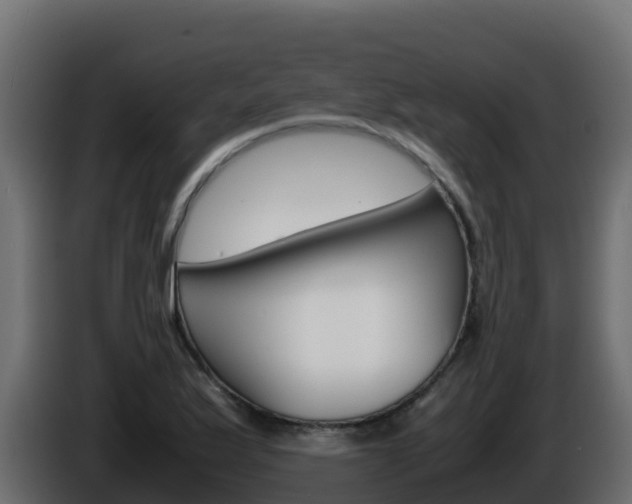 X0000086031175200703230948