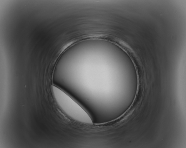 X0000086031177200703230948