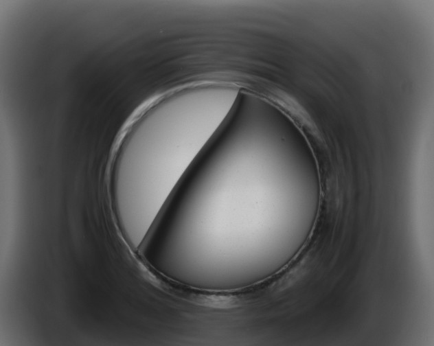 X0000086031180200703230948
