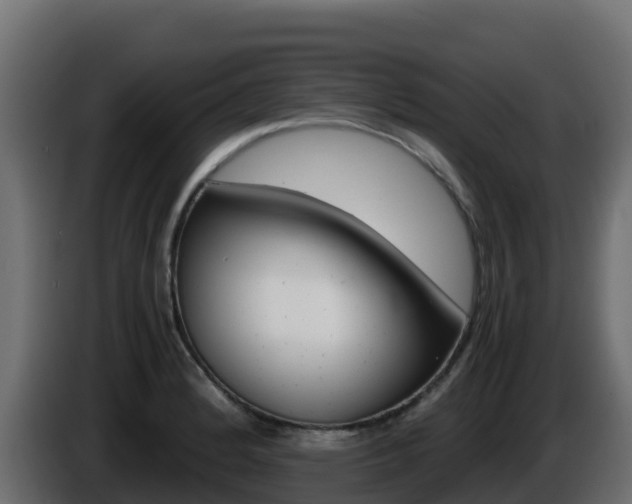 X0000086031184200703230948