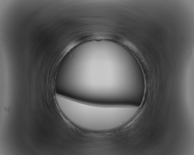 X0000086031185200703230948