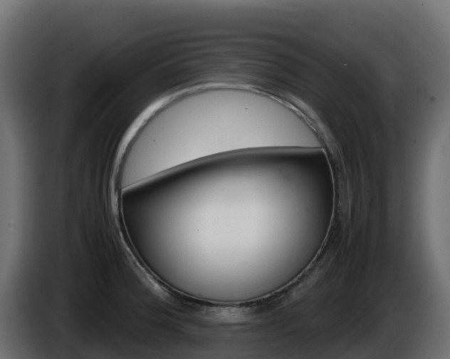 X0000086031188200703230948