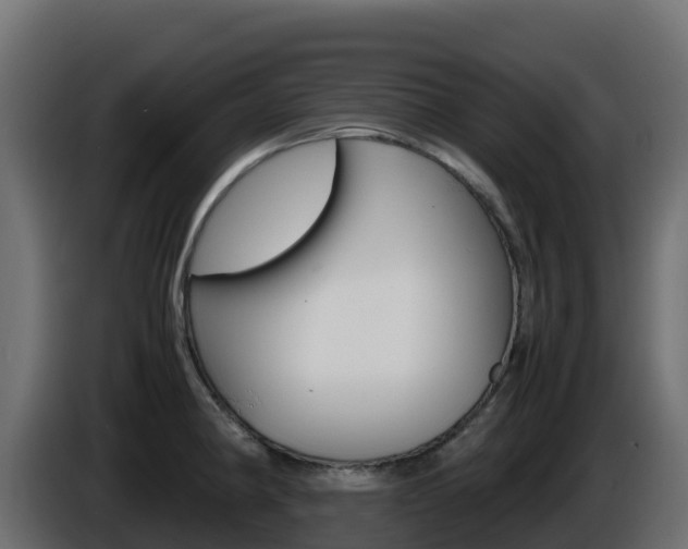 X0000086031190200703230948