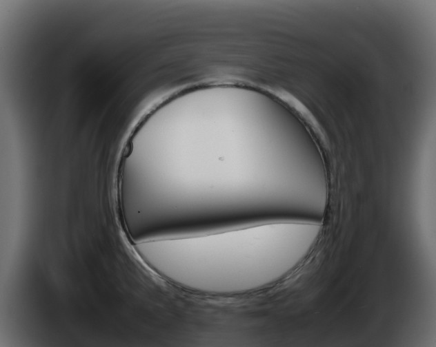 X0000086031191200703230948