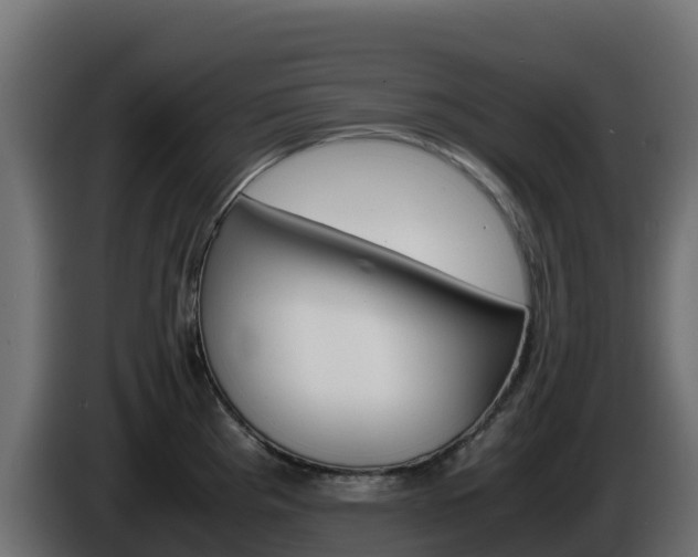 X0000086031193200703230948