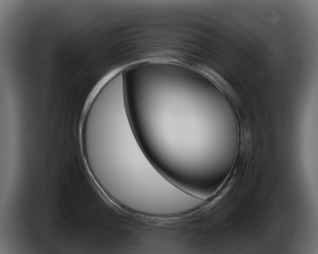 X0000086031196200703230948
