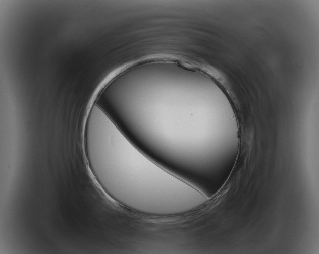 X0000086031199200703230947
