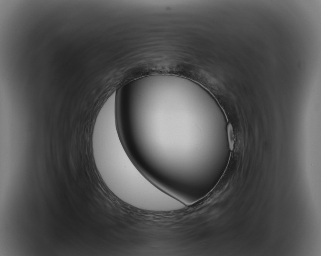 X0000086031202200703230947