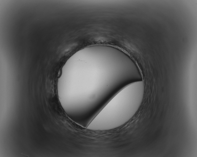 X0000086031205200703230947