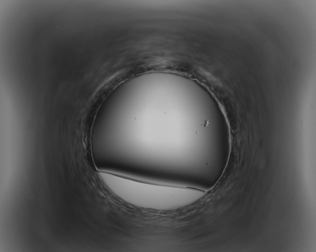X0000086031206200703230947