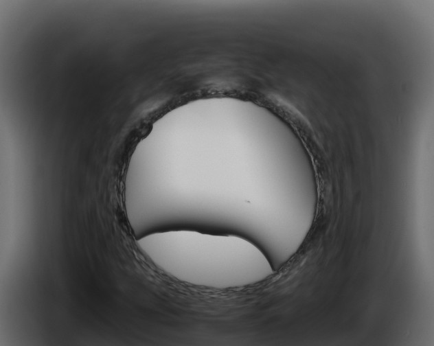 X0000086031207200703230947