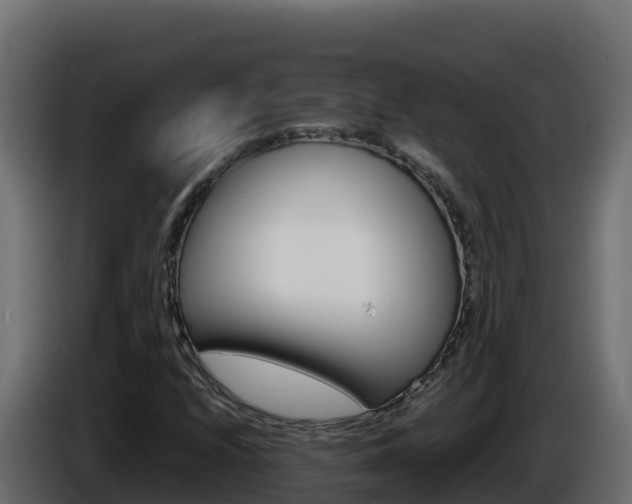 X0000086031208200703230947