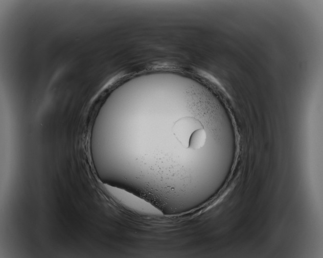 X0000086031211200703230947