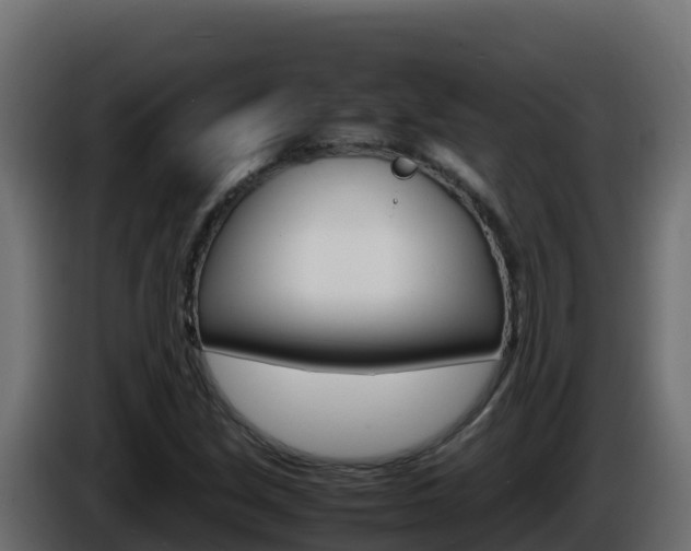 X0000086031213200703230947