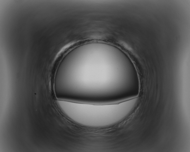 X0000086031214200703230947