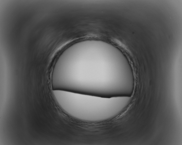 X0000086031215200703230947