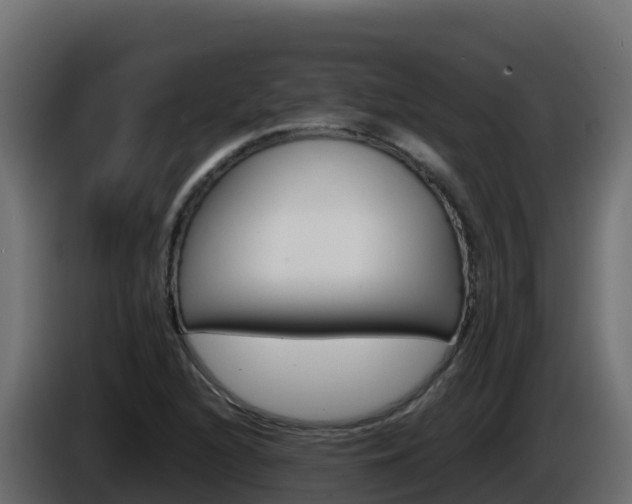X0000086031216200703230947