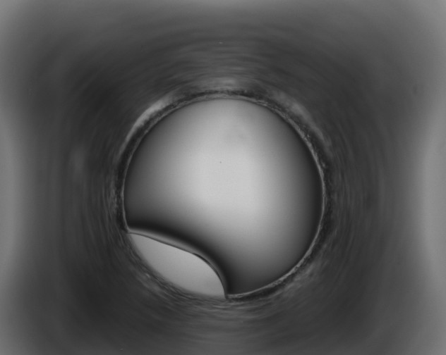 X0000086031218200703230947