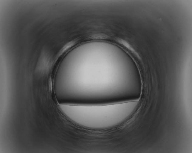 X0000086031221200703230947