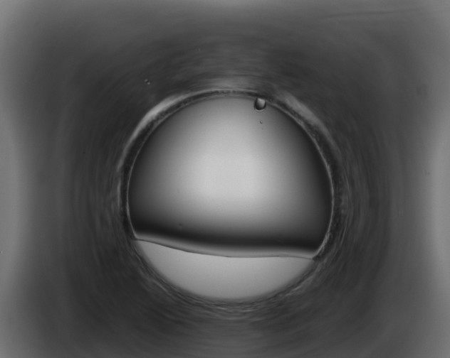 X0000086031222200703230947