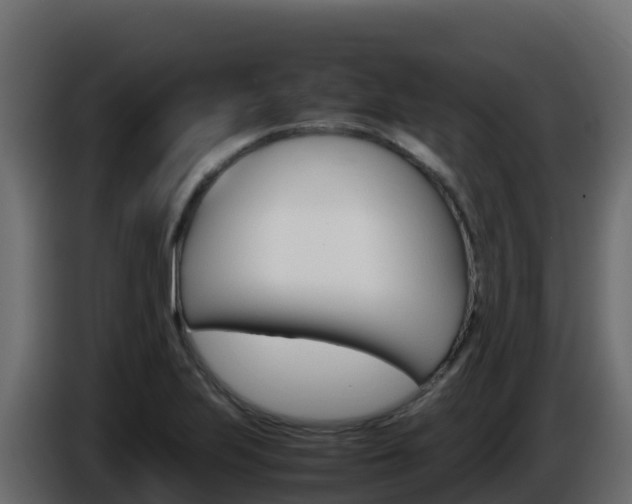 X0000086031223200703230947