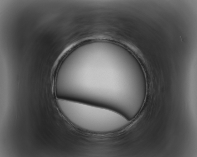 X0000086031224200703230947