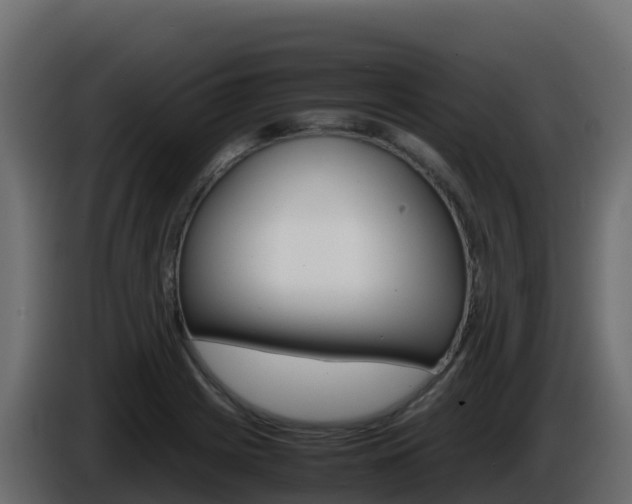 X0000086031225200703230947