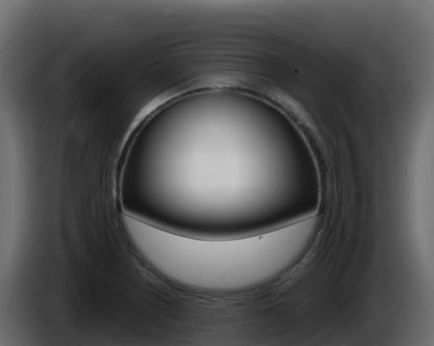 X0000086031226200703230947