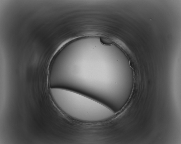 X0000086031228200703230947