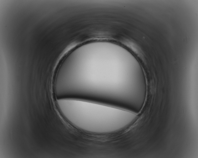 X0000086031229200703230947