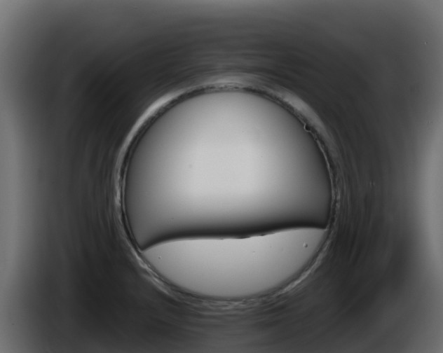 X0000086031232200703230947