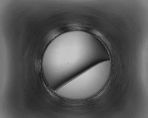 X0000086031233200703230947