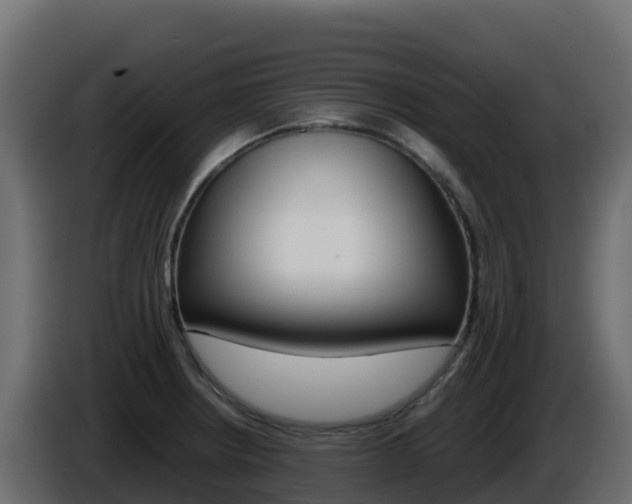 X0000086031234200703230947